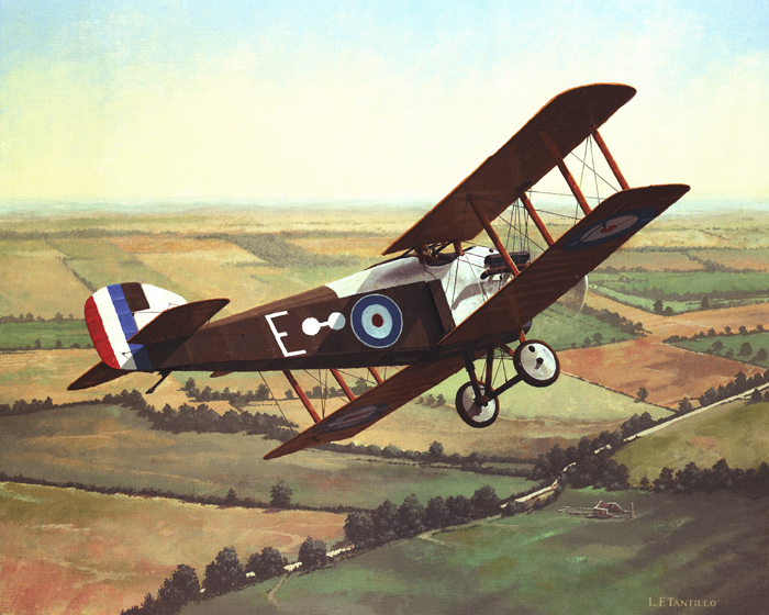 L.F. Tantillo Fine Art - Sopwith Dolphin,1916